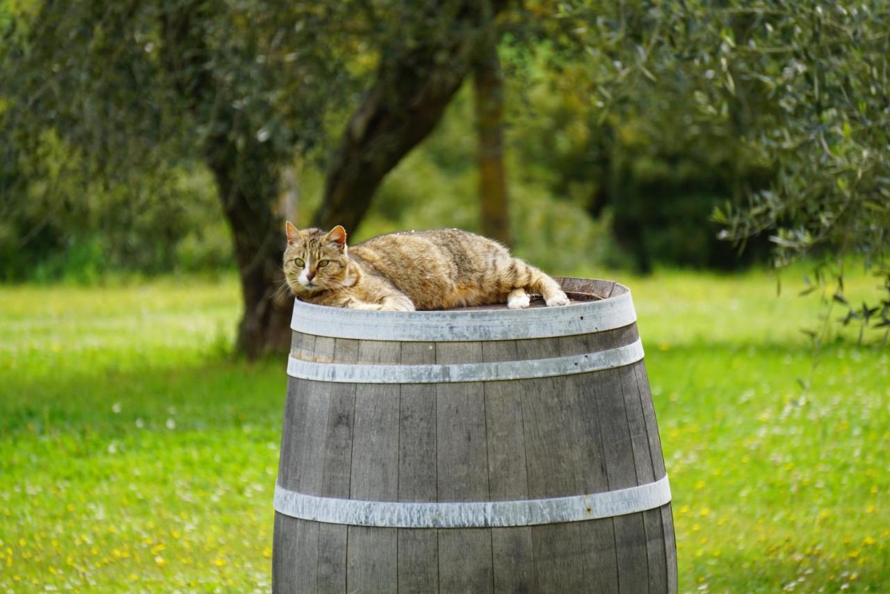 Fattoria Lornano Winery Villa Monteriggioni Exterior foto