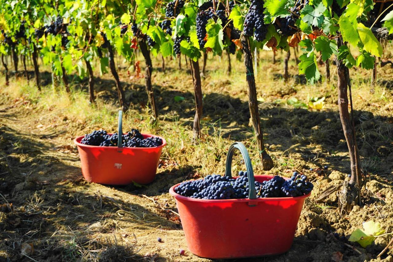 Fattoria Lornano Winery Villa Monteriggioni Exterior foto
